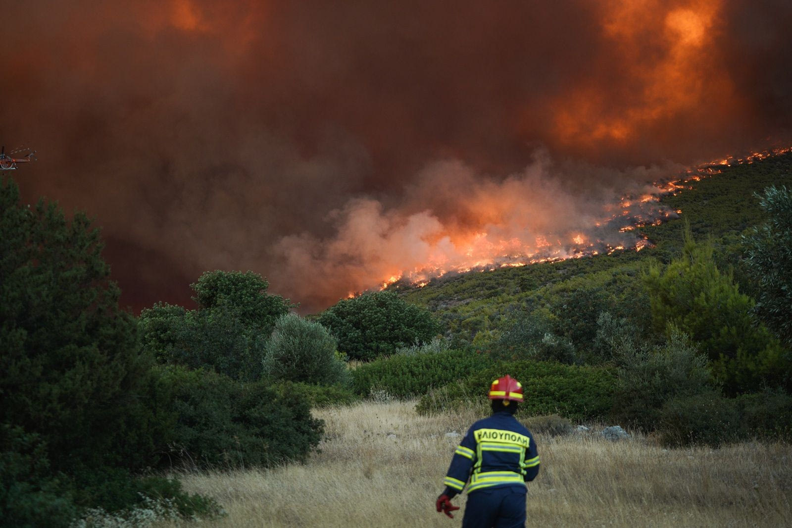 Φωτιά στη Χαλκιδική - Επιχειρούν 12 εναέρια, 112 για εκκενώσεις