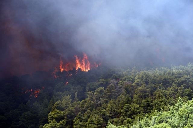 Μεγάλη φωτιά στην Πάστρα Κεφαλονιάς – Απανωτά μηνύματα 112 για εκκενώσεις
