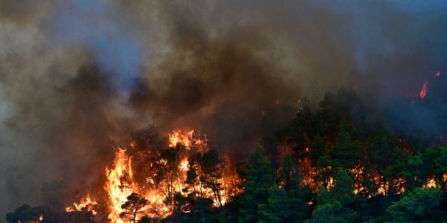 Γιατί η φωτιά πήρε τόσο μεγάλες διαστάσεις – Η εξήγηση Λέκκα