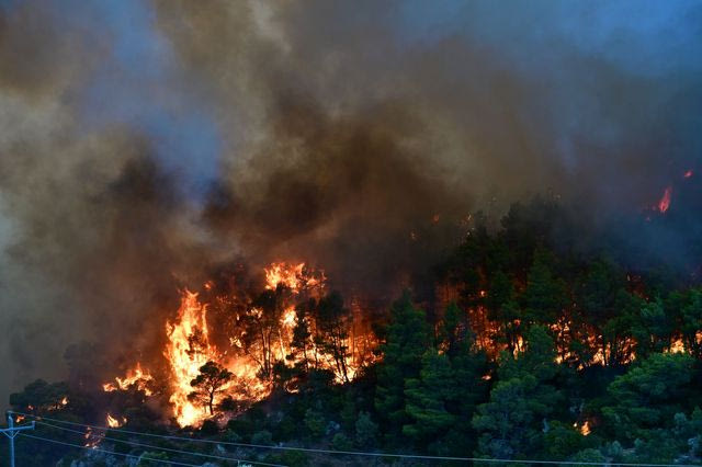 Γιατί η φωτιά πήρε τόσο μεγάλες διαστάσεις – Η εξήγηση Λέκκα