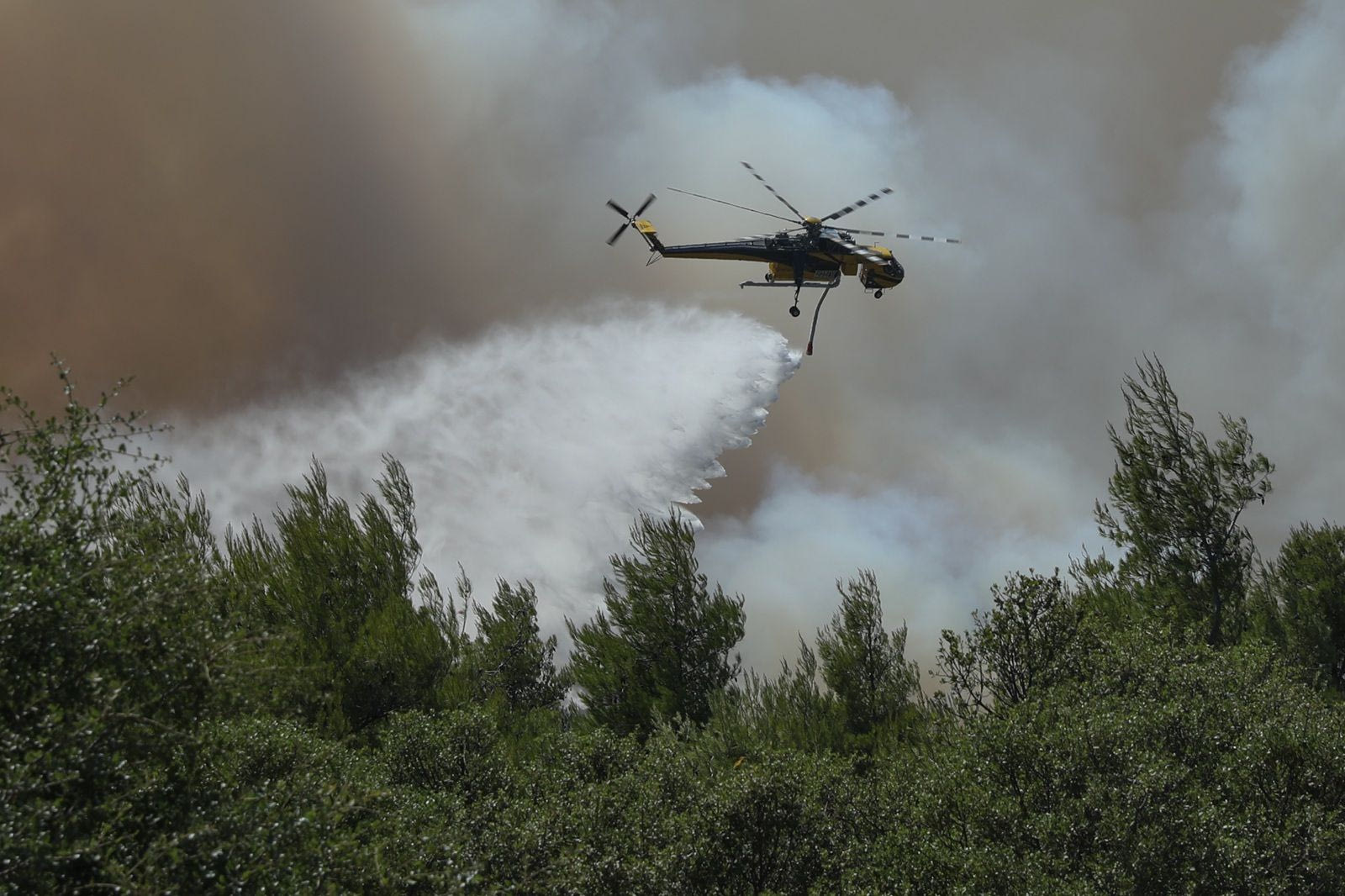 Πύρινη κόλαση στη Δυτική Αττική: Μπήκε στην Αγία Σκέπη η φωτιά - 112 για εκκενώσεις