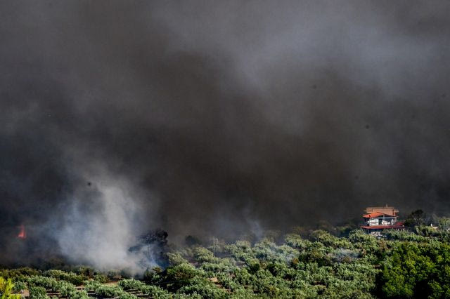Βοιωτία: “Πάνω από 40.000 στρέμματα έχουν γίνει στάχτη, ασύλληπτη καταστροφή”
