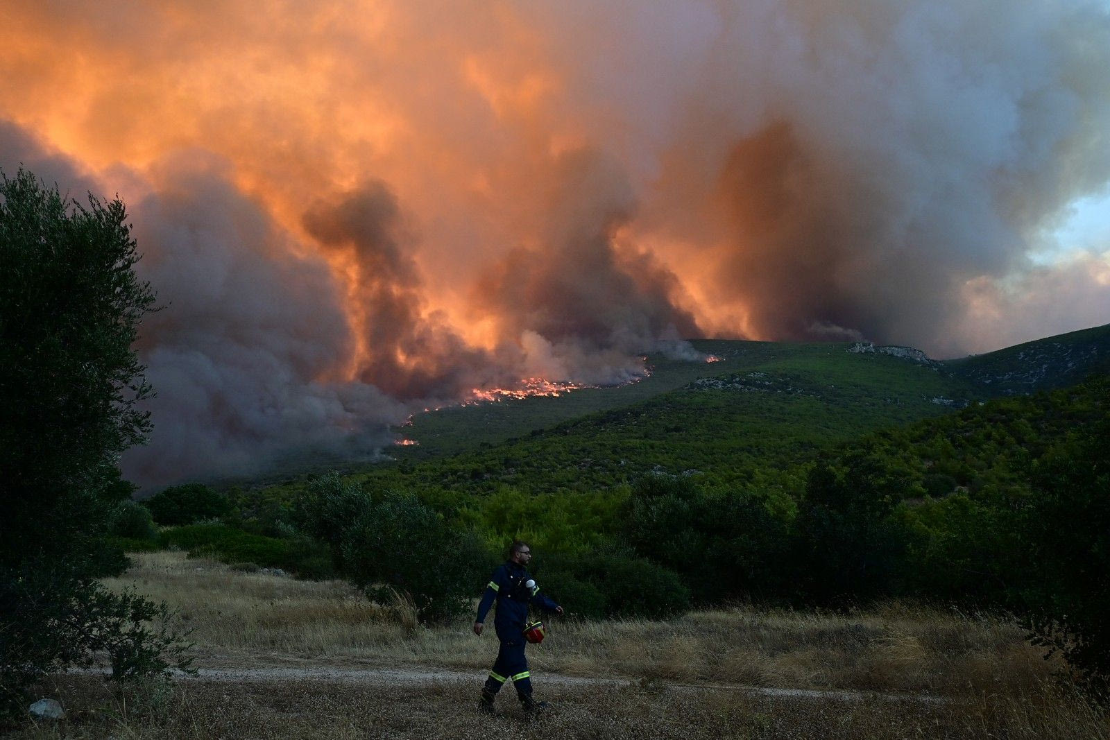 LIVEBLOG: Ανεξέλεγκτη η φωτιά στο Πόρτο Γερμενό – Κοντά στα σπίτια οι φλόγες στη Βοιωτία
