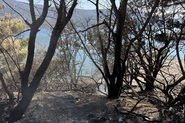 Οργισμένοι οι κάτοικοι στο Πόρτο Γερμενό: “Δεν μας έστειλαν ούτε αεροπλάνα, ούτε πυροσβέστες”
