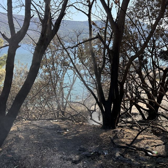 Οργισμένοι οι κάτοικοι στο Πόρτο Γερμενό: “Δεν μας έστειλαν ούτε αεροπλάνα, ούτε πυροσβέστες”