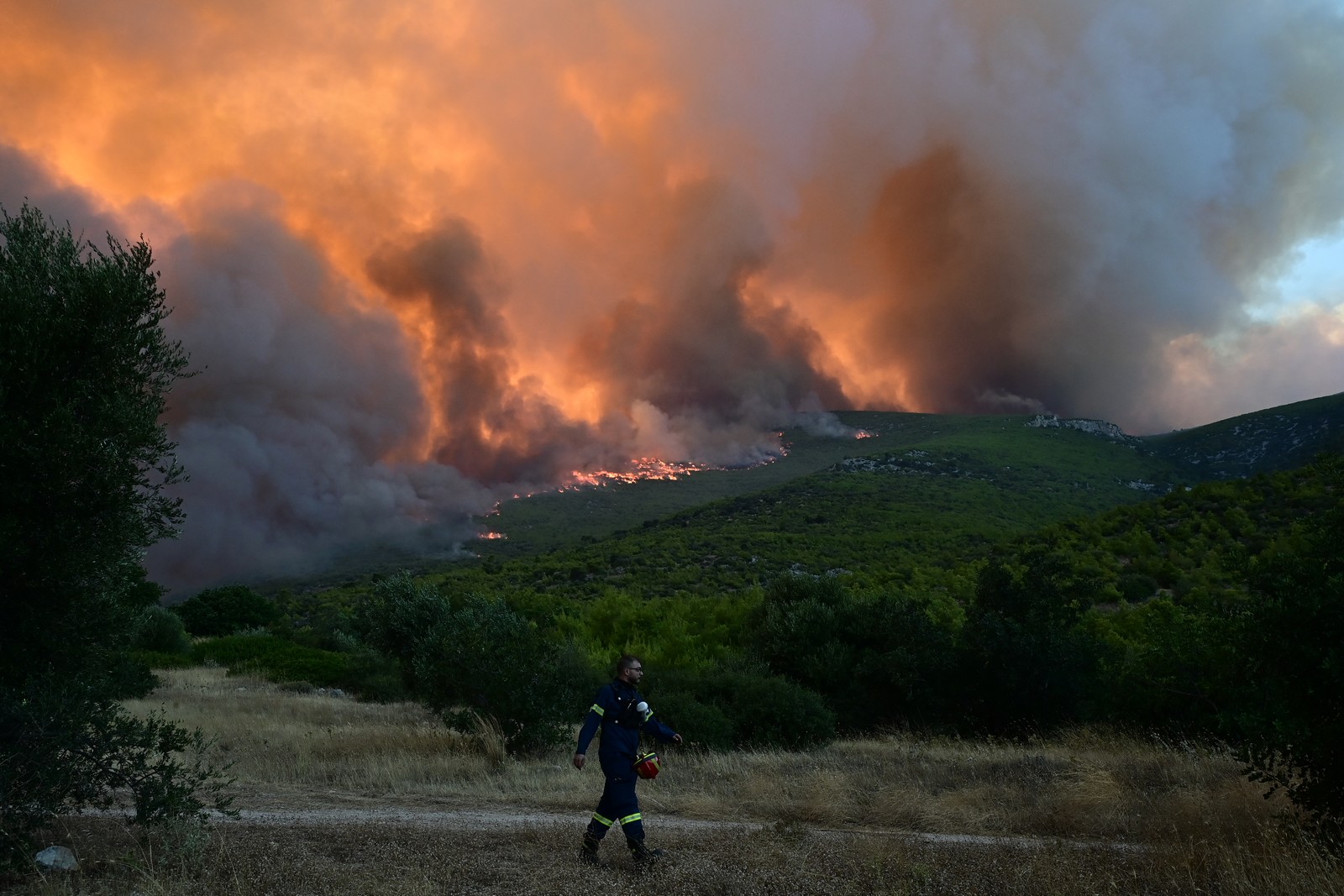 Κραυγή αγωνίας από τους κατοίκους του Πόρτο Γερμενό – “Ο καλύτερος πνεύμονας της Αττικής καταστράφηκε”