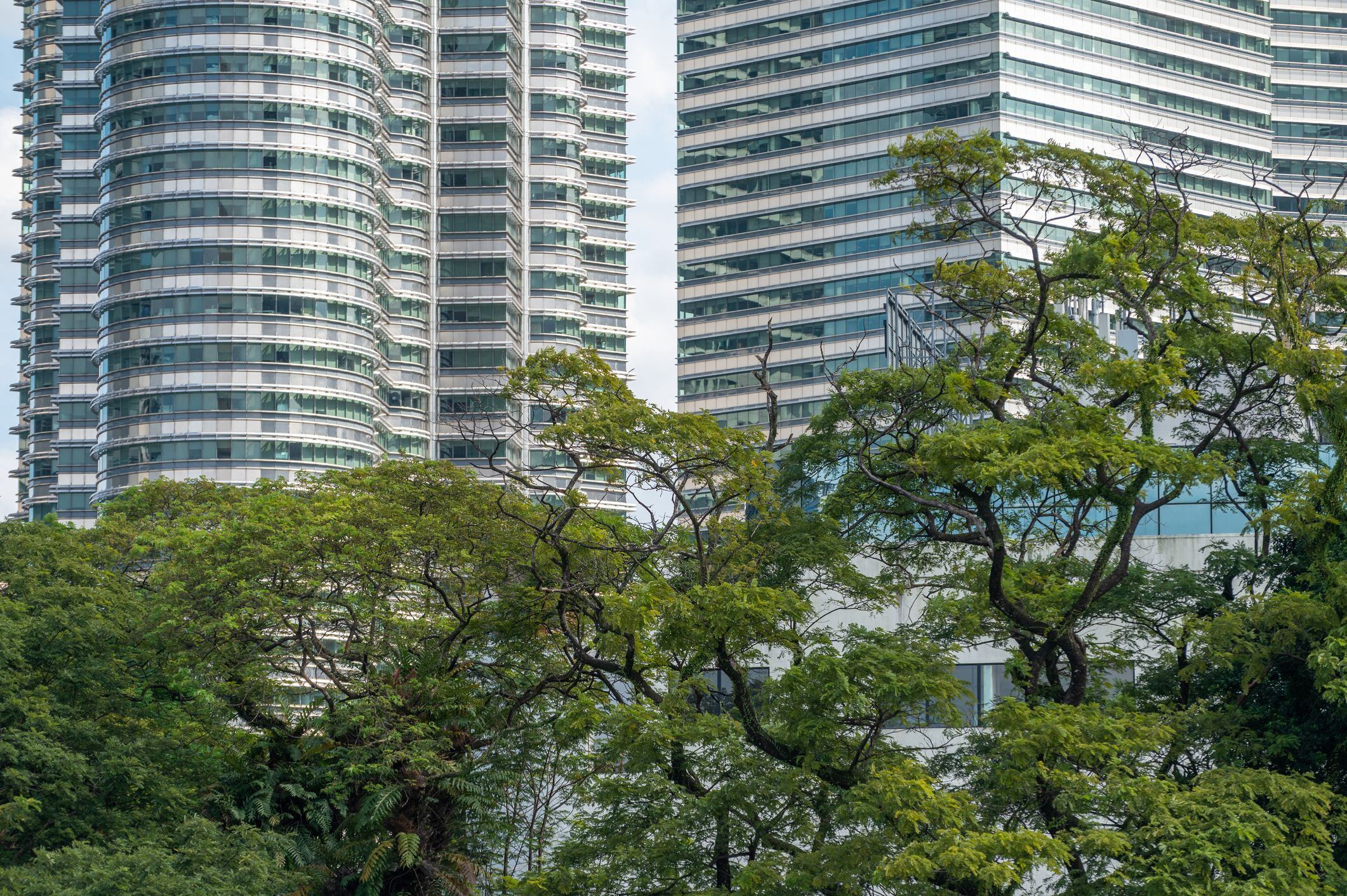Forest City