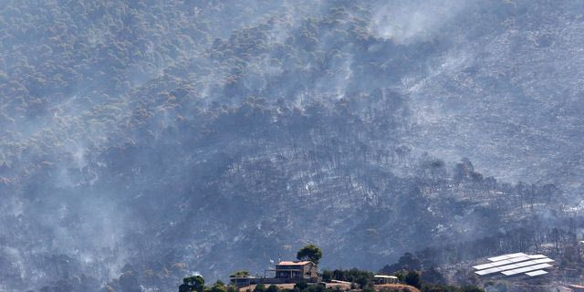 WWF: Πάνω από 180.000 στρέμματα καμένων δασικών εκτάσεων σε λίγες μόλις μέρες – Χάρτες