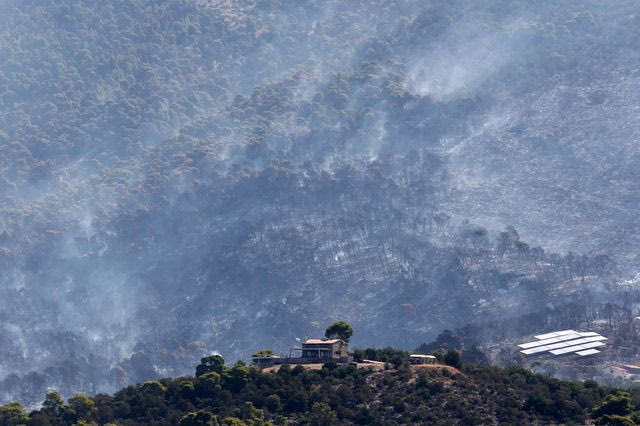WWF: Πάνω από 180.000 στρέμματα καμένων δασικών εκτάσεων σε λίγες μόλις μέρες – Χάρτες