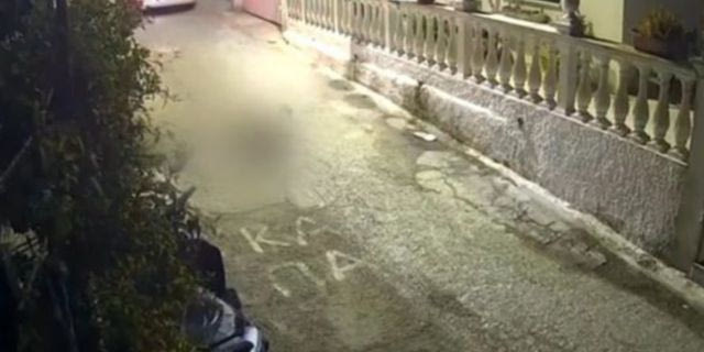 Οργή για την οδηγό που πάτησε σκύλο με το αυτοκίνητο