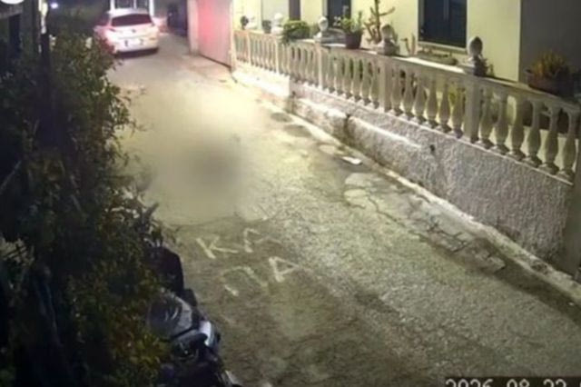 Κέρκυρα: Οργή για την οδηγό που πάτησε σκύλο με το αυτοκίνητο