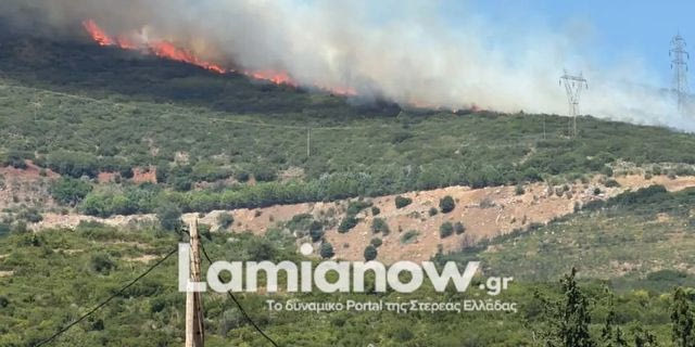 Λαμία: Οριοθετήθηκε η φωτιά στην Καμηλόβρυση Λαμίας