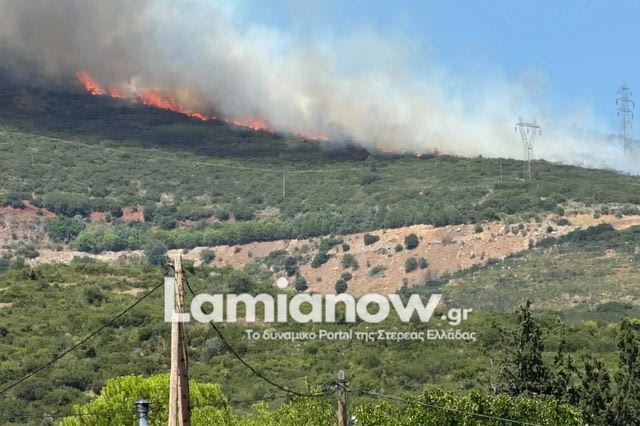 Λαμία: Οριοθετήθηκε η φωτιά στην Καμηλόβρυση Λαμίας