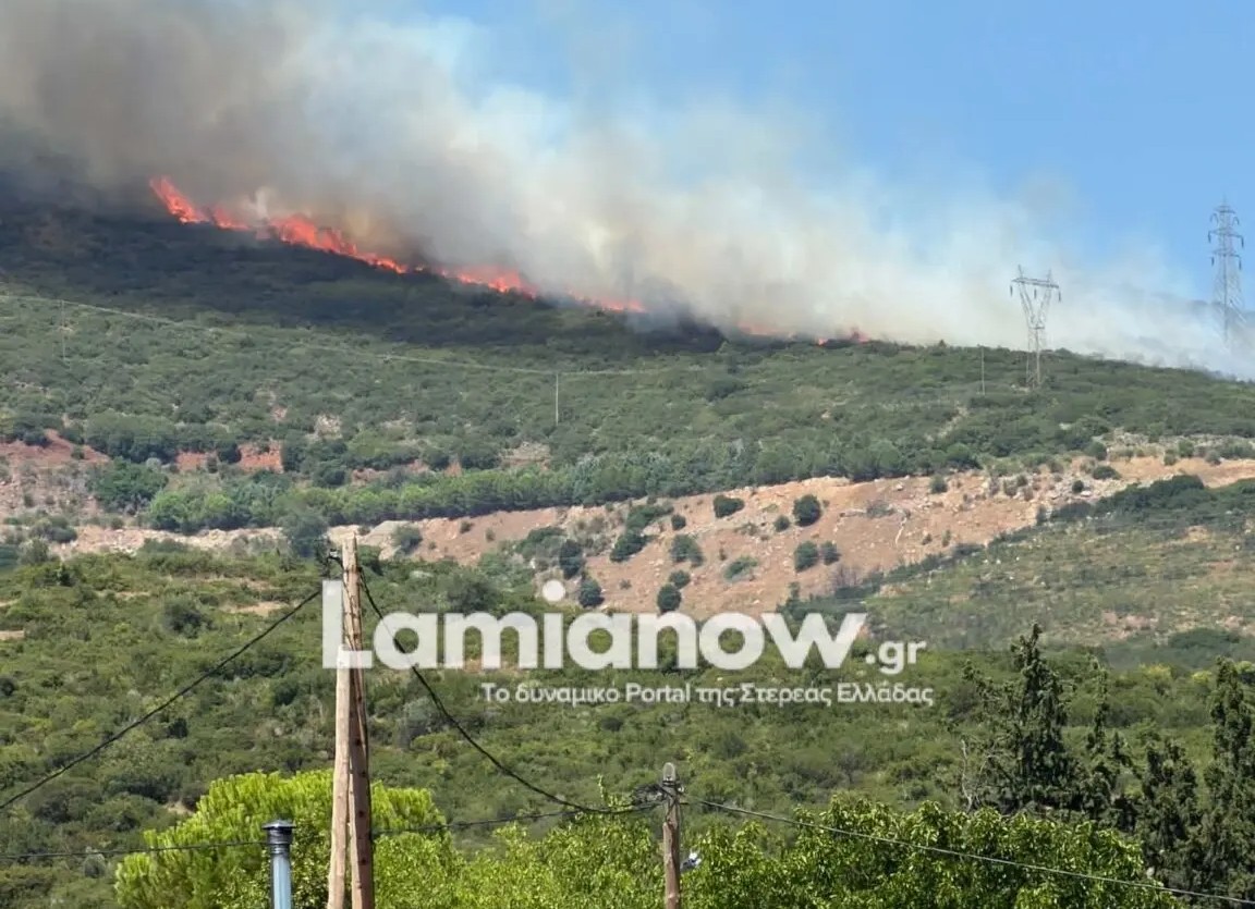 Λαμία: Οριοθετήθηκε η φωτιά στην Καμηλόβρυση Λαμίας