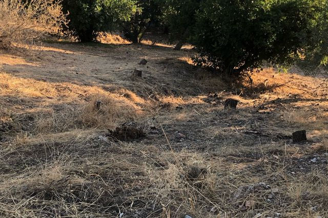 Λόφος Φιλοπάππου: Εργασίες καθαρισμού από τον Δήμο Αθηναίων μετά το δημοσίευμα του NEWS 24/7