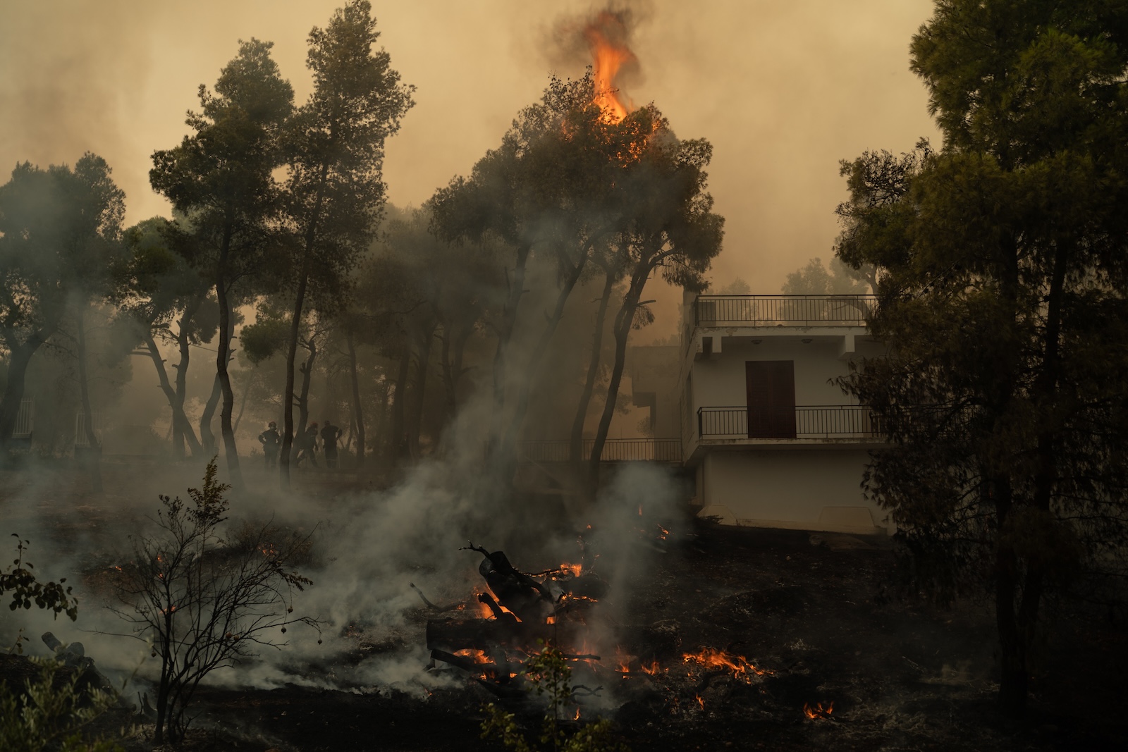Η συγκλονιστική μάχη των πυροσβεστών στη Λούμπα - Πώς έσωσαν τον οικισμό