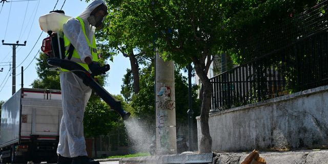 Ποιο κουνούπι μεταδίδει τον Ιό του Δυτικού Νείλου; Η μεγάλη παρεξήγηση