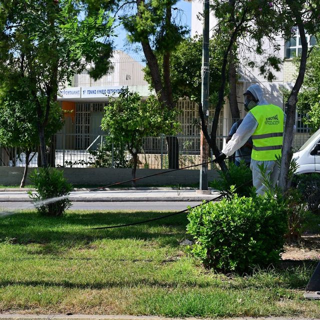 Ιός του Δυτικού Νείλου: Έρχεται αύξηση των κρουσμάτων – Τα επικίνδυνα συμπτώματα