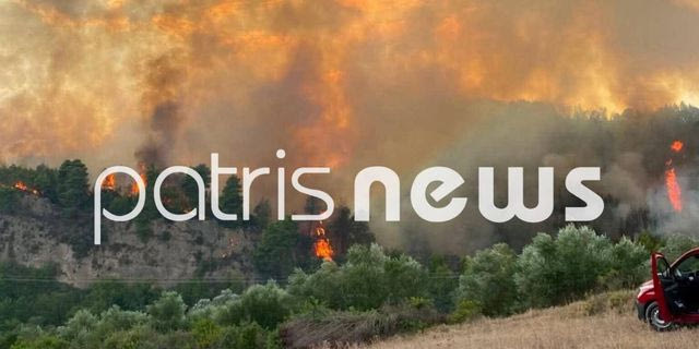 Φωτιά στο Μουζάκι Ηλείας – Μεγάλη κινητοποίηση, μάχη με τις φλόγες