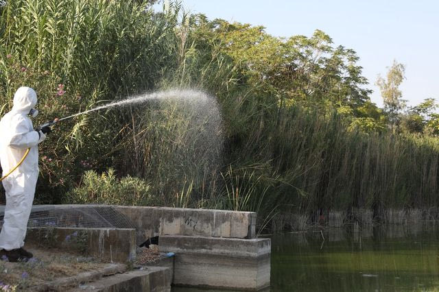Ιός του Δυτικού Νείλου: Γιατί οι πολλοί ψεκασμοί δεν λύνουν το πρόβλημα – Ένας ειδικός απαντά