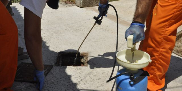 Πότε έγιναν οι πρώτοι ψεκασμοί για τα κουνούπια στην Αττική