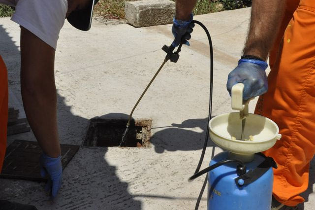Πότε έγιναν οι πρώτοι ψεκασμοί για τα κουνούπια στην Αττική