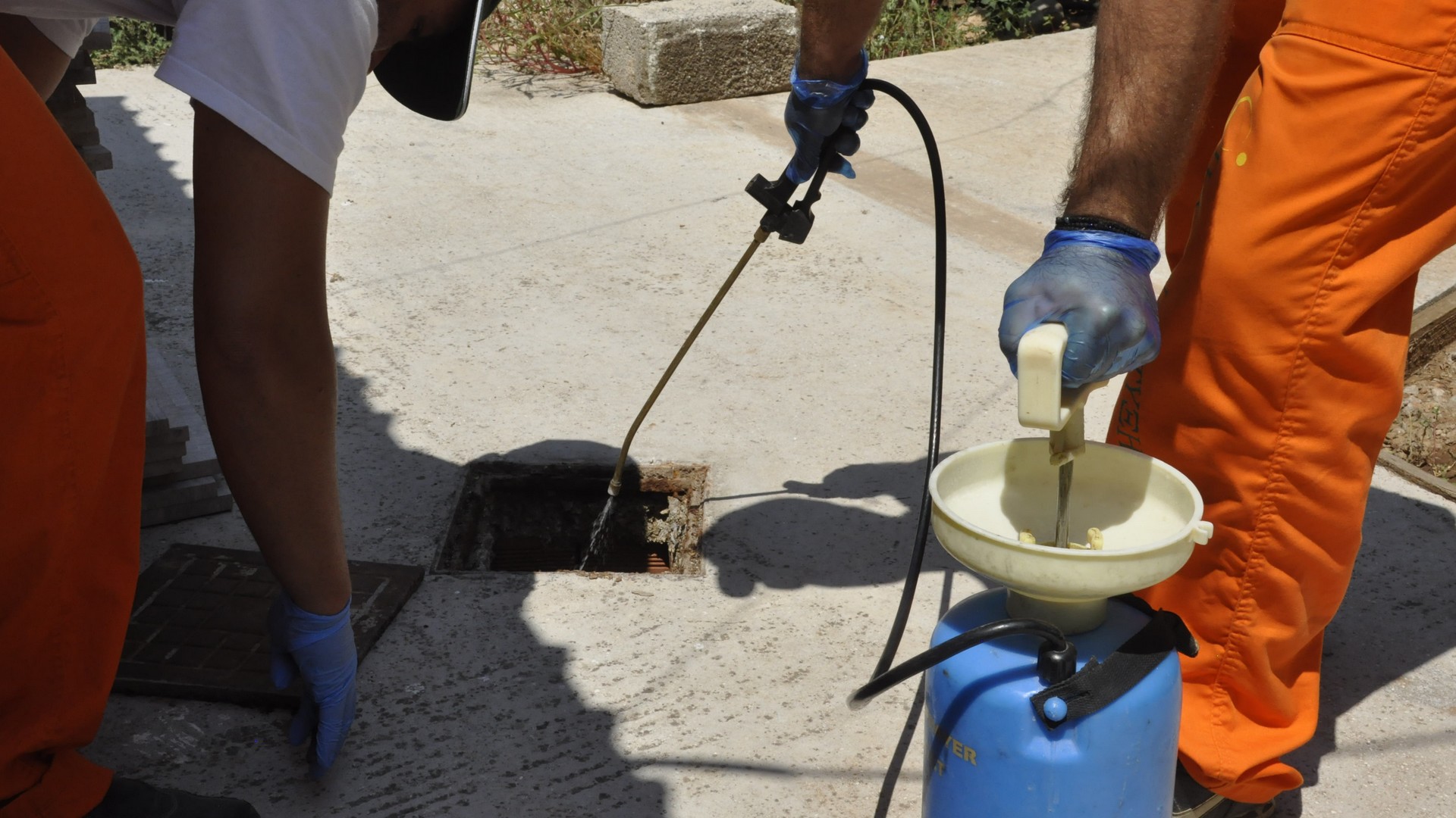 Πότε έγιναν οι πρώτοι ψεκασμοί για τα κουνούπια στην Αττική