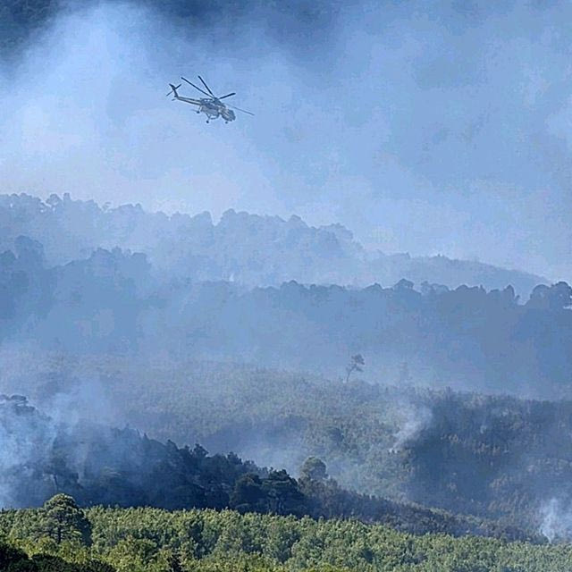 Σκύρος: Στα 3.636 τα καμένα στρέμματα γης από τη φωτιά