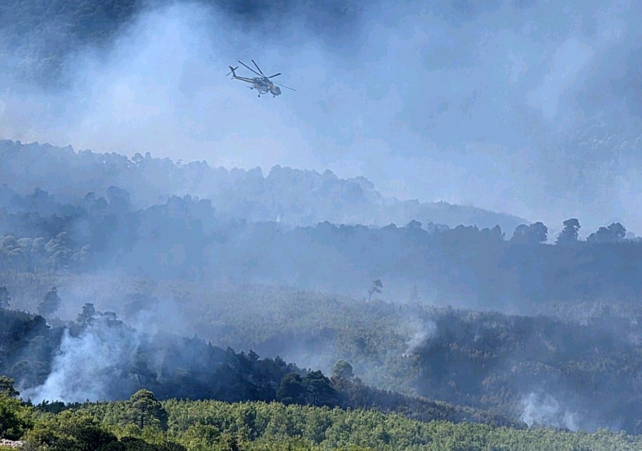 Σκύρος: Στα 3.636 τα καμένα στρέμματα γης από τη φωτιά