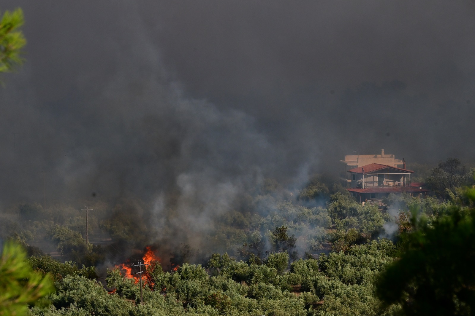 Φωτιά στη Βοιωτία: Στη φυλακή ο δήμαρχος Στυλίδας, ο εργολάβος και ιδιοκτήτης της εταιρείας