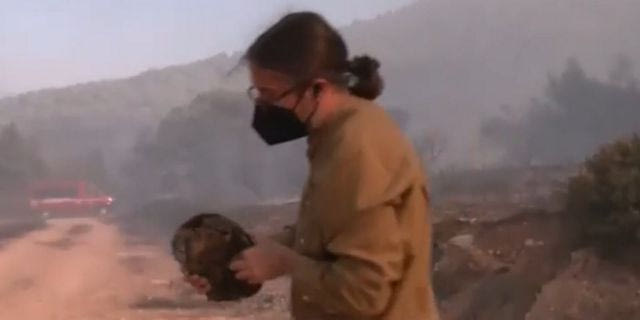 Φωτιά στον Κουβαρά: Δημοσιογράφος διέκοψε ρεπορτάζ για να σώσει χελώνα – Βίντεο