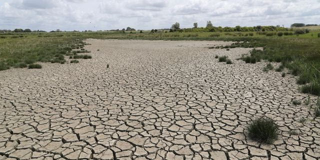 Γερμανία: Στα 36 δισεκατομμύρια ευρώ το κόστος της ξηρασίας