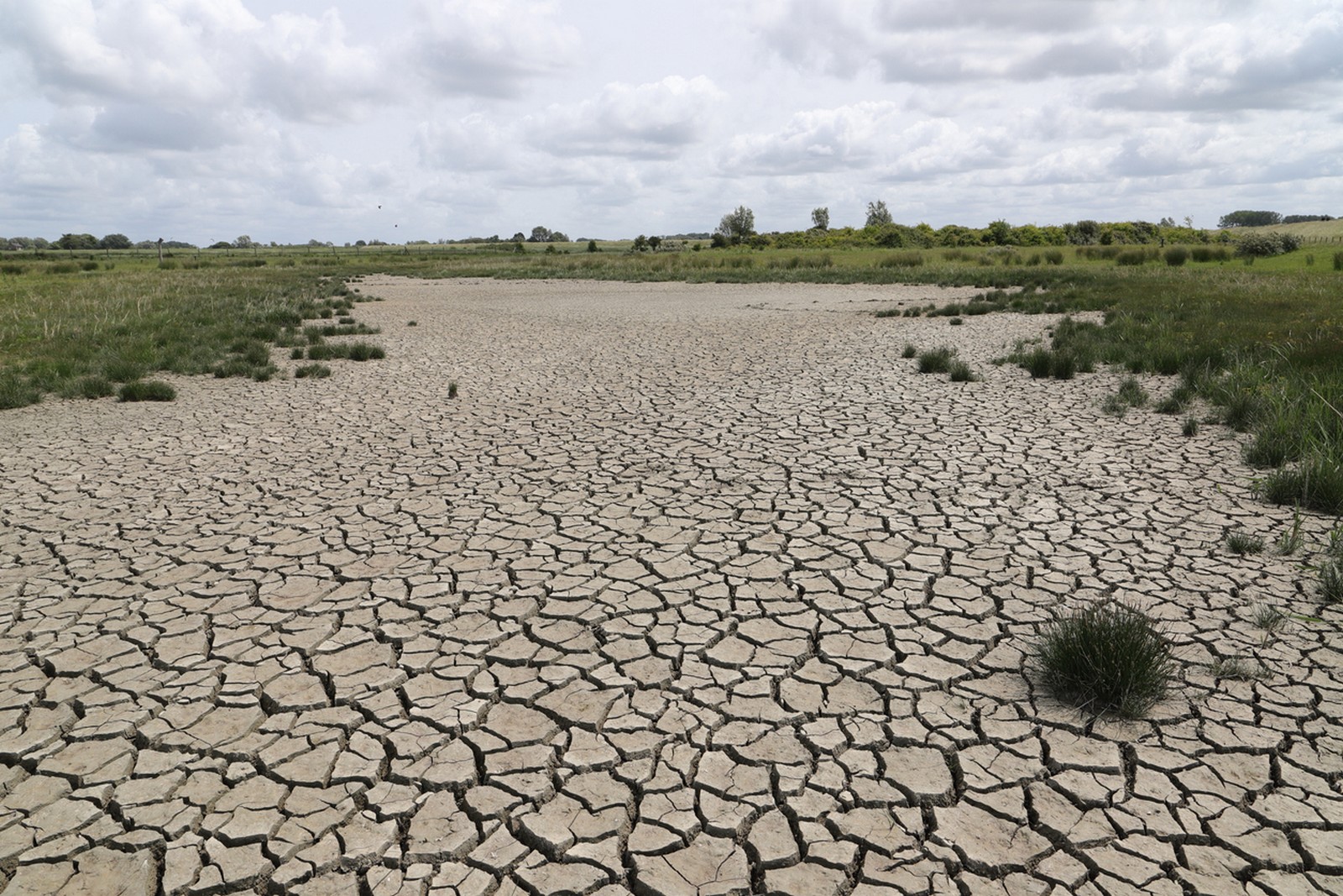 Γερμανία: Στα 36 δισεκατομμύρια ευρώ το κόστος της ξηρασίας