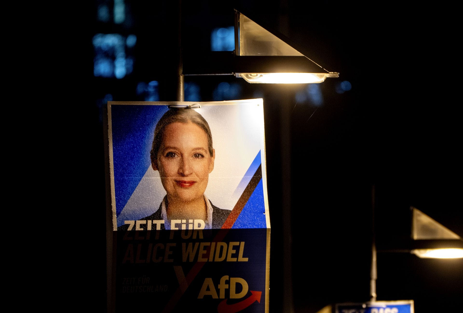 Η συμπρόεδρος του AfD Alice Weidel