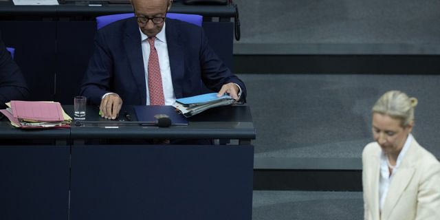 Friedrich Merz και Alice Weidel