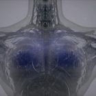 3D magnetic scan