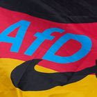 Γερμανία: Η AfD μια ανάσα από την επικράτηση – Ηττημένος ο,τι κι αν “δείξει” η κάλπη ο Μερτς