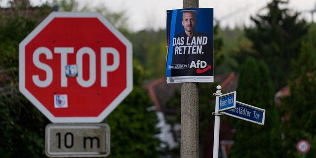 Αφίσα του ακροδεξιού AfD