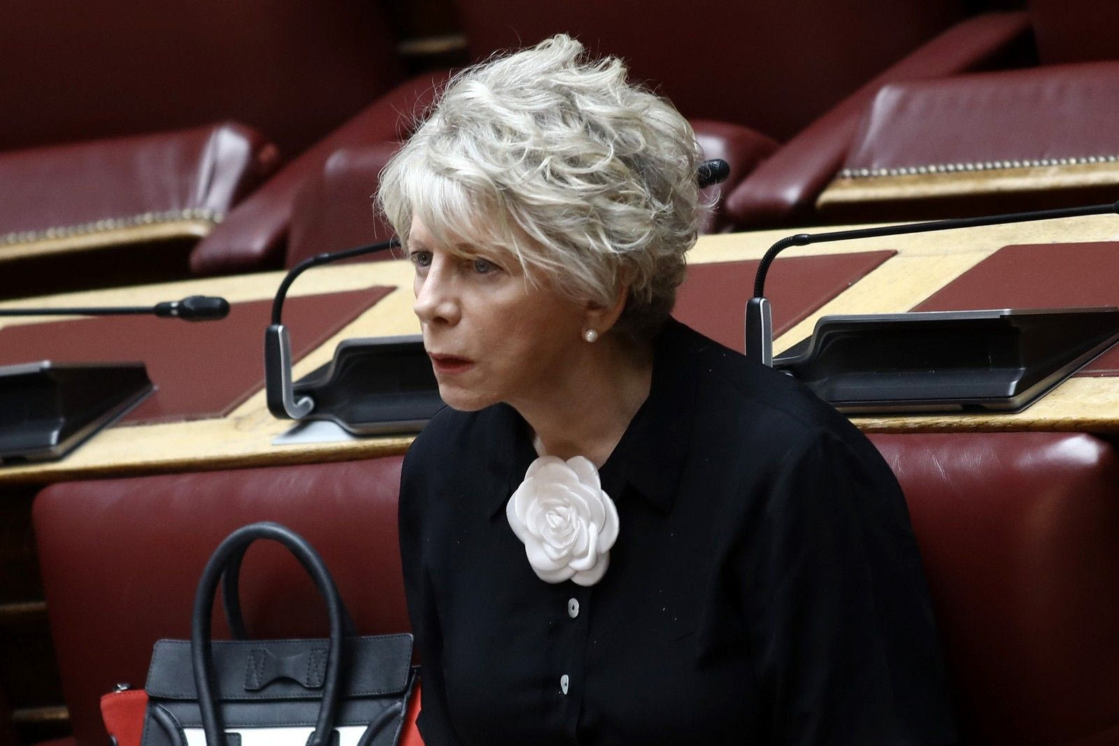 Η ΝΔ μπλόκαρε την υποψηφιότητα της Έλενας Ακρίτα για το προεδρείο της Βουλής