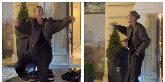 Σελίν Ντιόν: Χόρεψε ξυπόλυτη πάνω σε καπό οχήματος, μπροστά στους θαυμαστές της