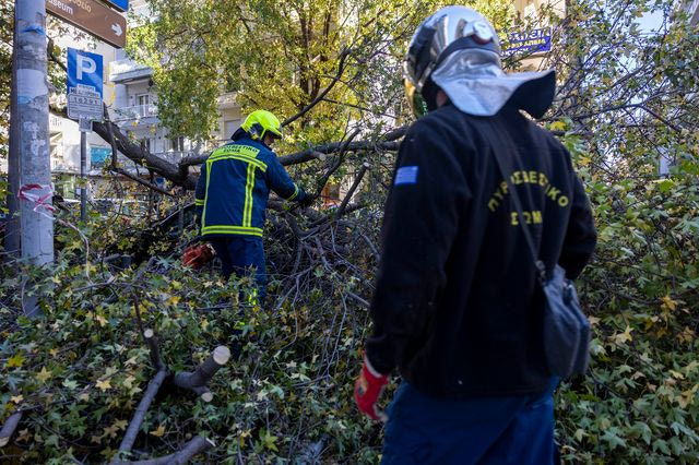 Καισαριανή: Διακοπή κυκλοφορίας στη Φορμίωνος μετά από πτώση δέντρου