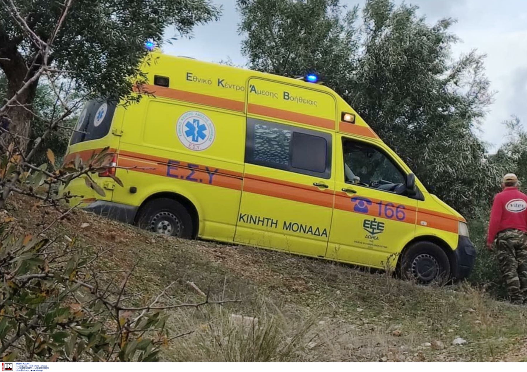 Κέρκυρα: Σοβαρό τροχαίο με γουρούνα – Δύο τουρίστες τραυματίστηκαν