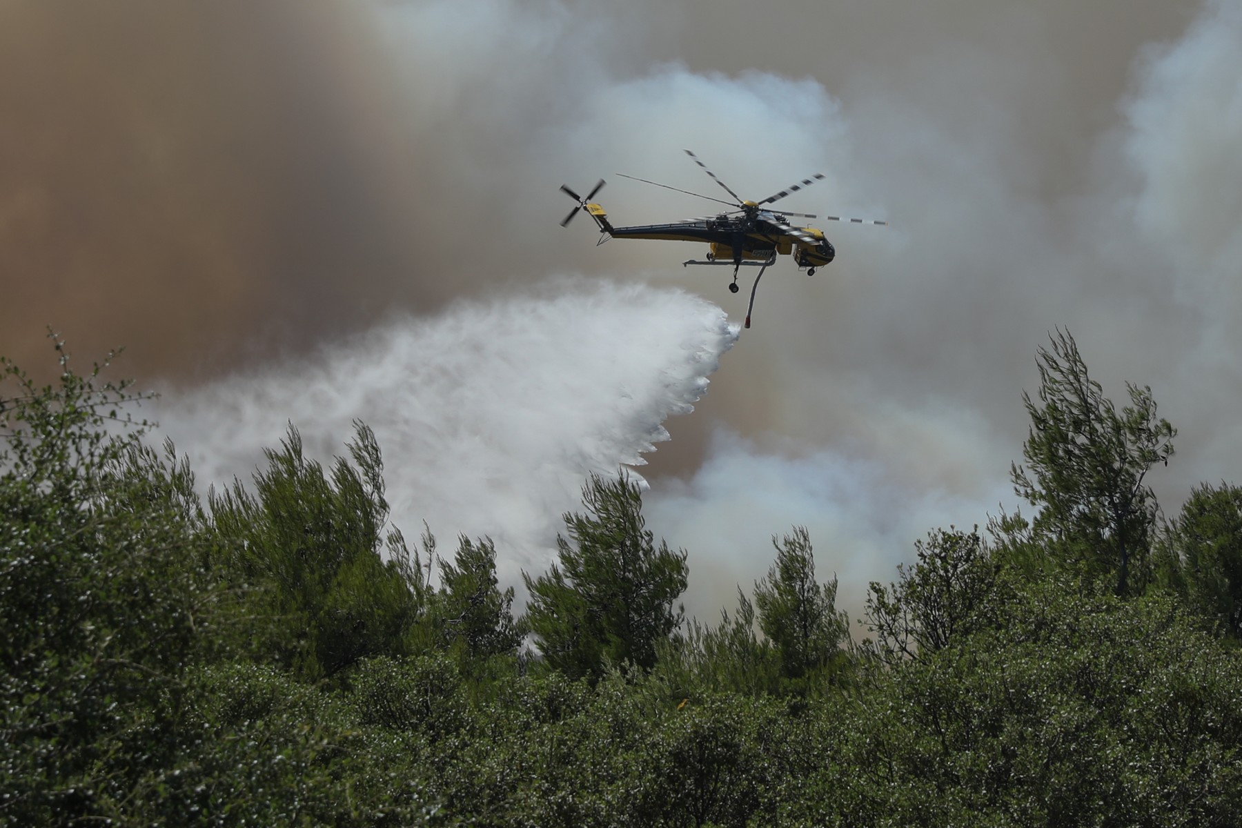 Φωτιά στην Ανατολή Λάρισας – Σηκώθηκαν πέντε εναέρια
