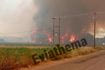 Φωτιά στην Εύβοια – Ενισχύθηκαν οι δυνάμεις, μήνυμα 112 για εκκένωση της Τριάδας