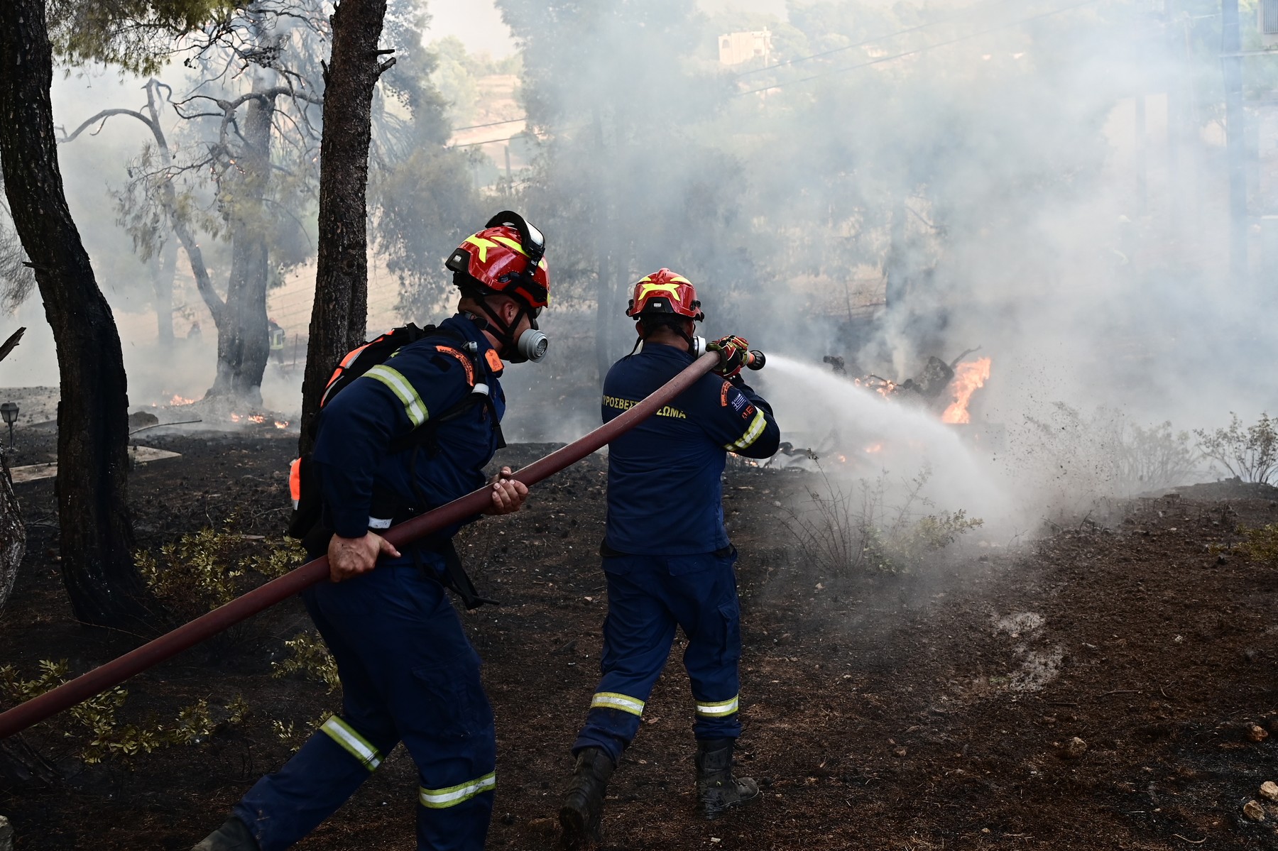 Χαλκιδική: Φωτιά στην Ελάνη Κασσάνδρας – Ήχησε 112, επιχειρούν επτά εναέρια μέσα