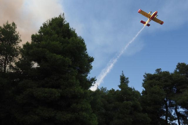 Φωτιά στο Σαμαράκι Αργολίδας – Στη μάχη 6 εναέρια μέσα