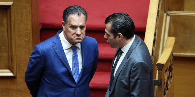 Άδωνις Γεωργιάδης και Θάνος Πλεύρης