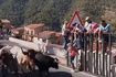 Ισπανία:  Νεκρή 64χρονη από επίθεση ταύρου κατά τη διάρκεια ταυροδρομίας