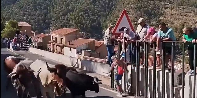 Ισπανία:  Νεκρή 64χρονη από επίθεση ταύρου κατά τη διάρκεια ταυροδρομίας