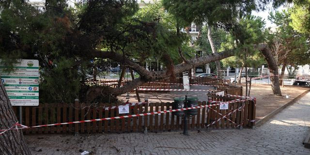 Καλαμαριά: Έπεσε δέντρο πάνω σε μητέρα και παιδί ενώ βρίσκονταν σε παιδική χαρά